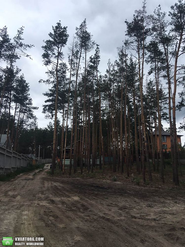Sell house. Киевская обл.,  Луговая — photo 5