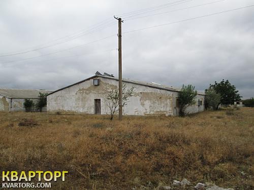 Sell warehouse. Одесса, Отрадово — photo 4