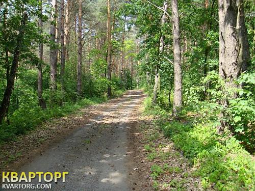 Sell house. Киевская обл., с. Горбовичи — photo 10