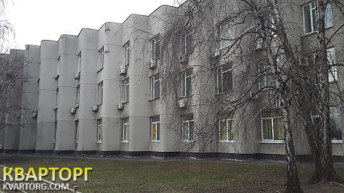 Rent out office. Киев, Лаврская — photo 2