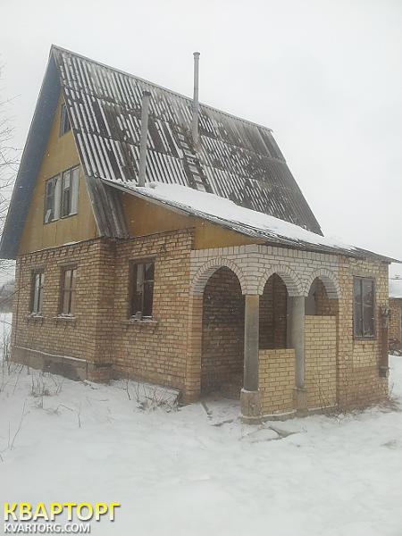 Sell house. Киевская обл., петрушки — photo 3
