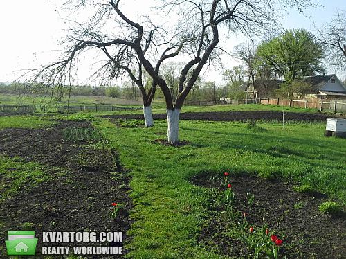 Sell house. Киевская обл., Кухари — photo 5