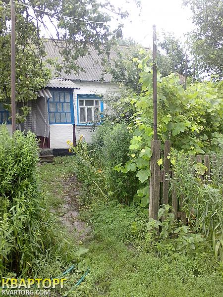 Sell house. Киевская обл., Киевская — photo 1