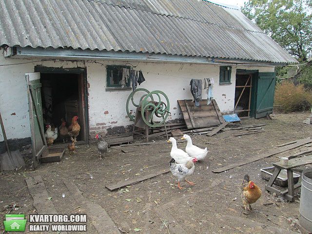 Sell house. Киевская обл., Песчаная — photo 7