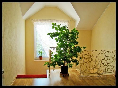 Rent out house. Киев, Садовая — photo 4