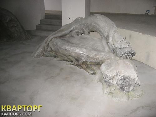 Sell house. Киевская обл., Княжичи — photo 3