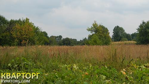 Sell house. Киевская обл., с. Кившовата — photo 3