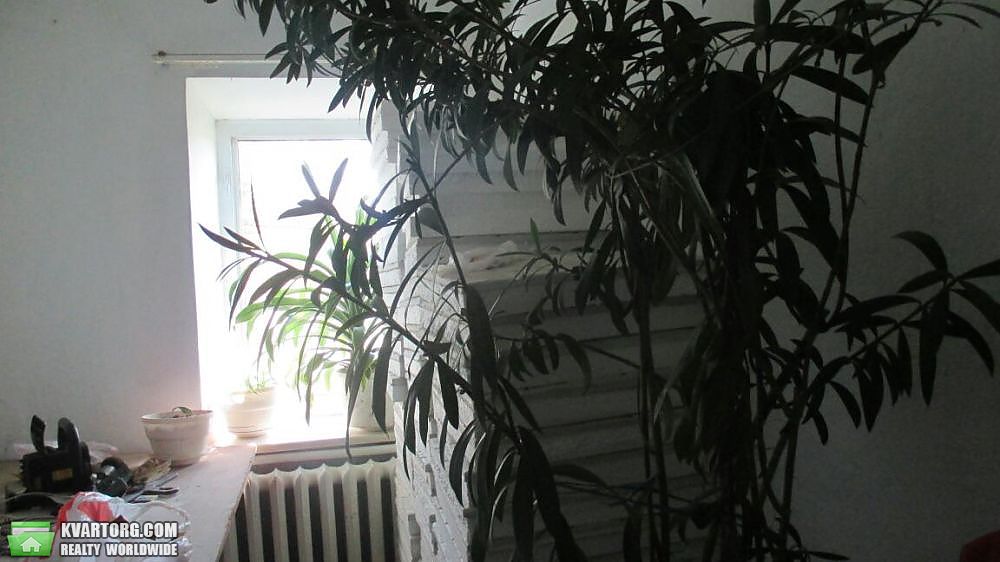 Sell house. Одесса, Гудевичево — photo 4