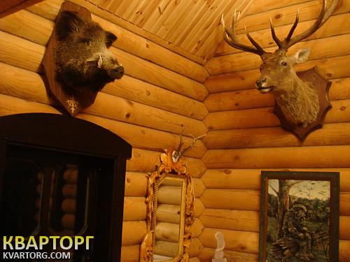 Sell house. Киевская обл., село Стайки — photo 8
