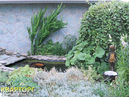 Sell house. Киевская обл., Крюковщина — photo 6