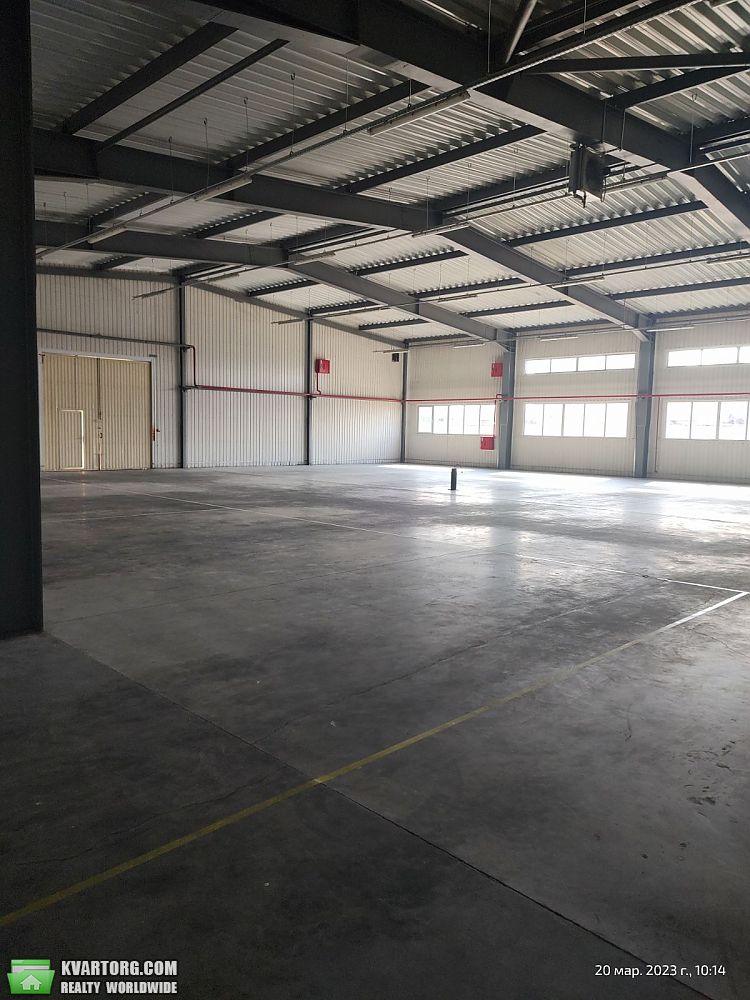 Rent out warehouse. Киевская обл., Белоцерковская — photo 3