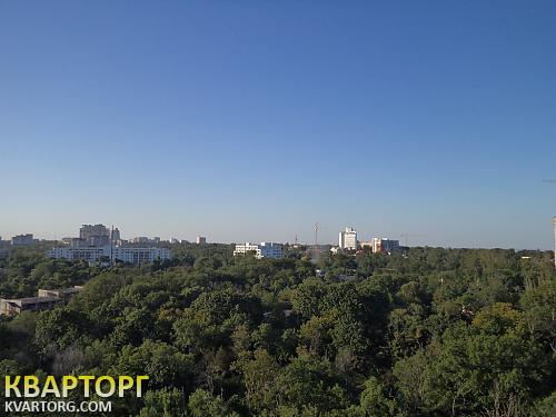 Rent out 1-room apartment. Одесса, Генуэзская — photo 2
