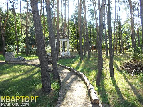 Sell house. Киев,  Сосновая — photo 3