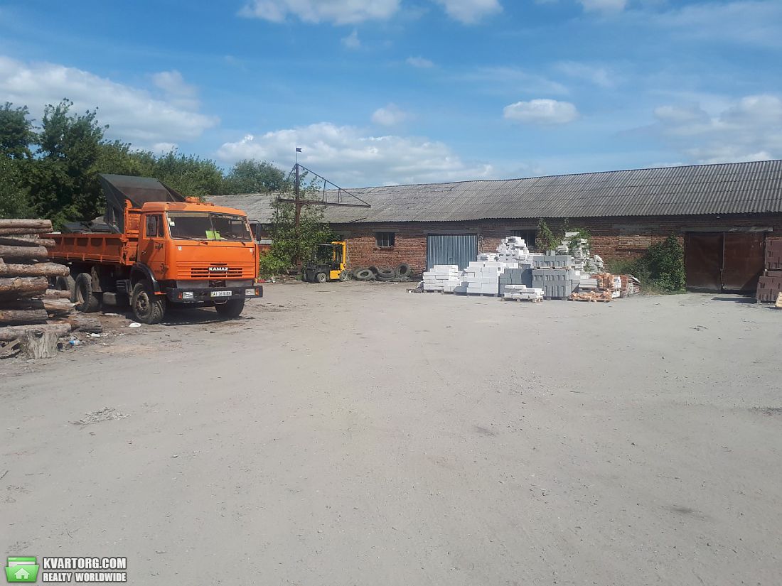 Rent out warehouse. Киевская обл., Серпневый — photo 3