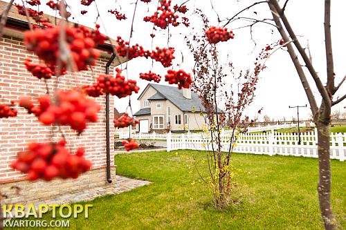 Rent out house. Киев, Васильковский р-н — photo 7