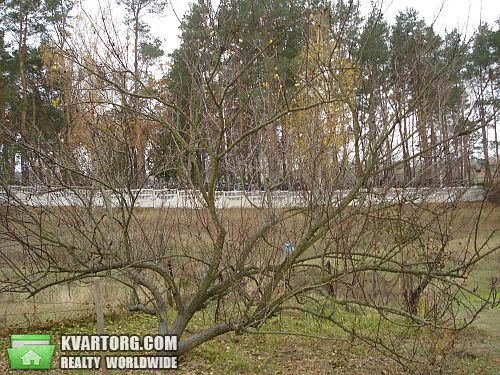 Sell house. Киевская обл., с.Мироцкое — photo 4