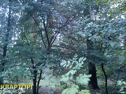 Sell house. Киевская обл., Ярослава Мудрого — photo 3