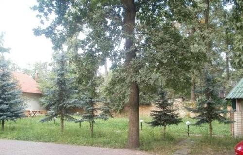 Rent out house. Киевская обл., садова — photo 8