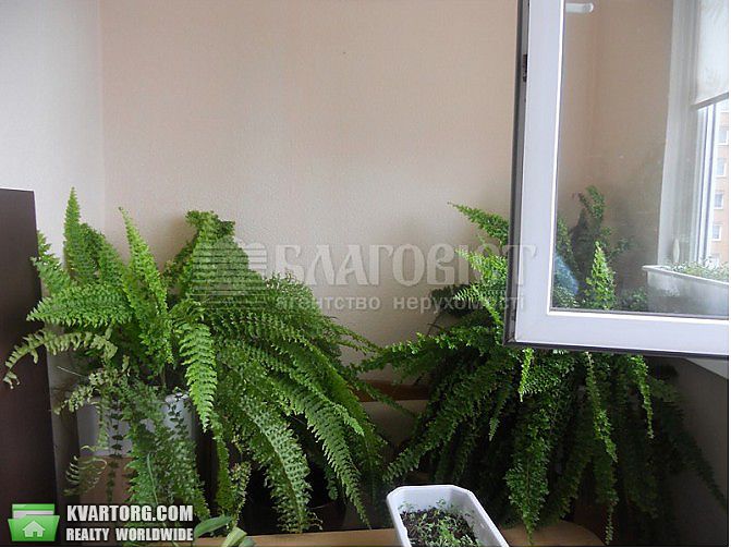 Sell 1-room apartment. Киев,  Княжий Затон — photo 6