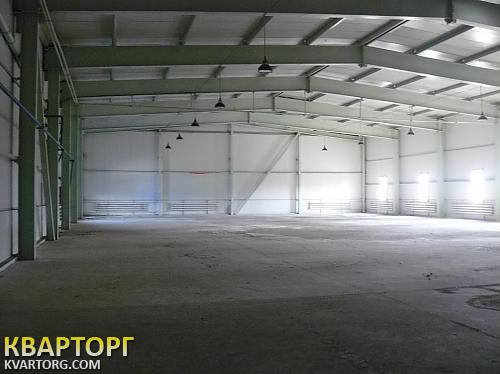 Rent out warehouse. Киевская обл., Барышевка — photo 2