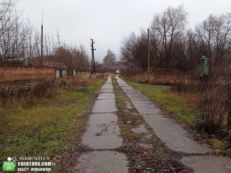 Sell warehouse. Сумская обл., Промышленная — photo 4