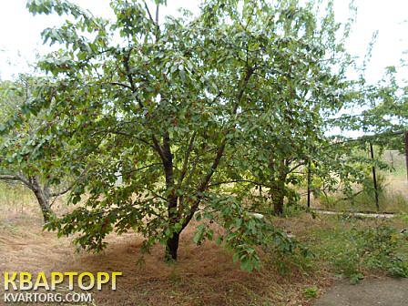 Sell house. АР Крым, Фиолентовское шоссе — photo 9