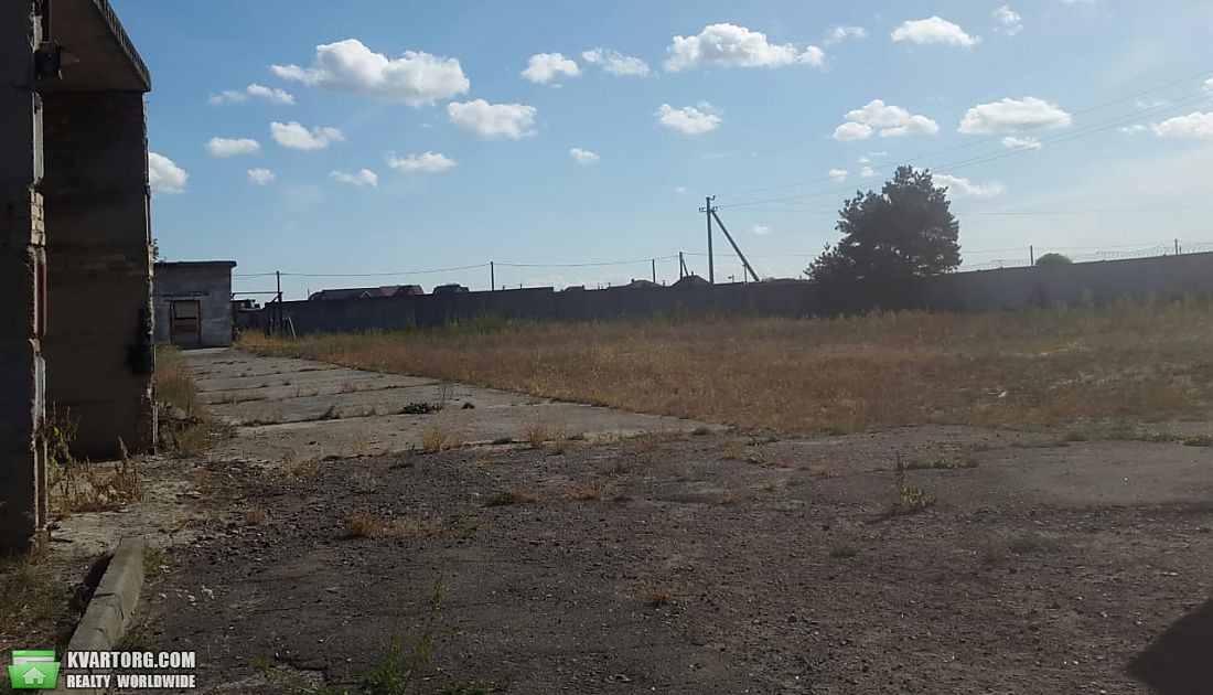 Sell warehouse. Киевская обл., Новоселки — photo 4