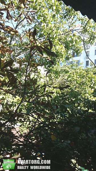 Sell 1-room apartment. Одесса, Французский бульвар — photo 6