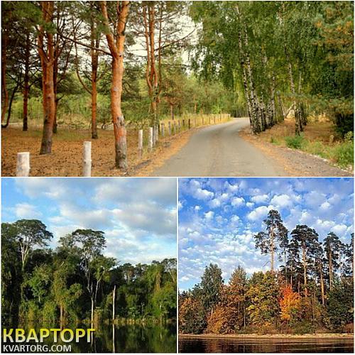 Sell house. Киевская обл., Лютеж — photo 8