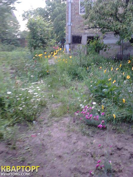 Sell house. Киевская обл., Мала Снытынка — photo 4