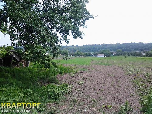 Sell house. Киевская обл., с.Черкас — photo 8