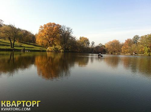 Sell house. Киевская обл., с.Оленовка — photo 6