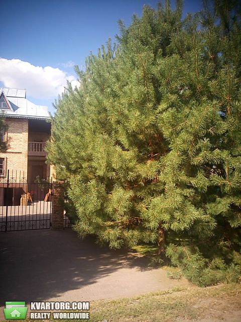Sell house. Киевская обл., Новошевченковская — photo 9