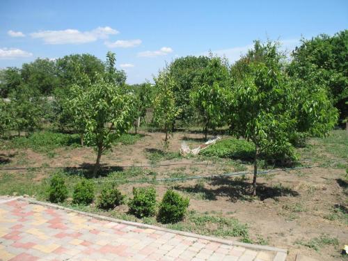Sell house. Одесса, Школьная — photo 9