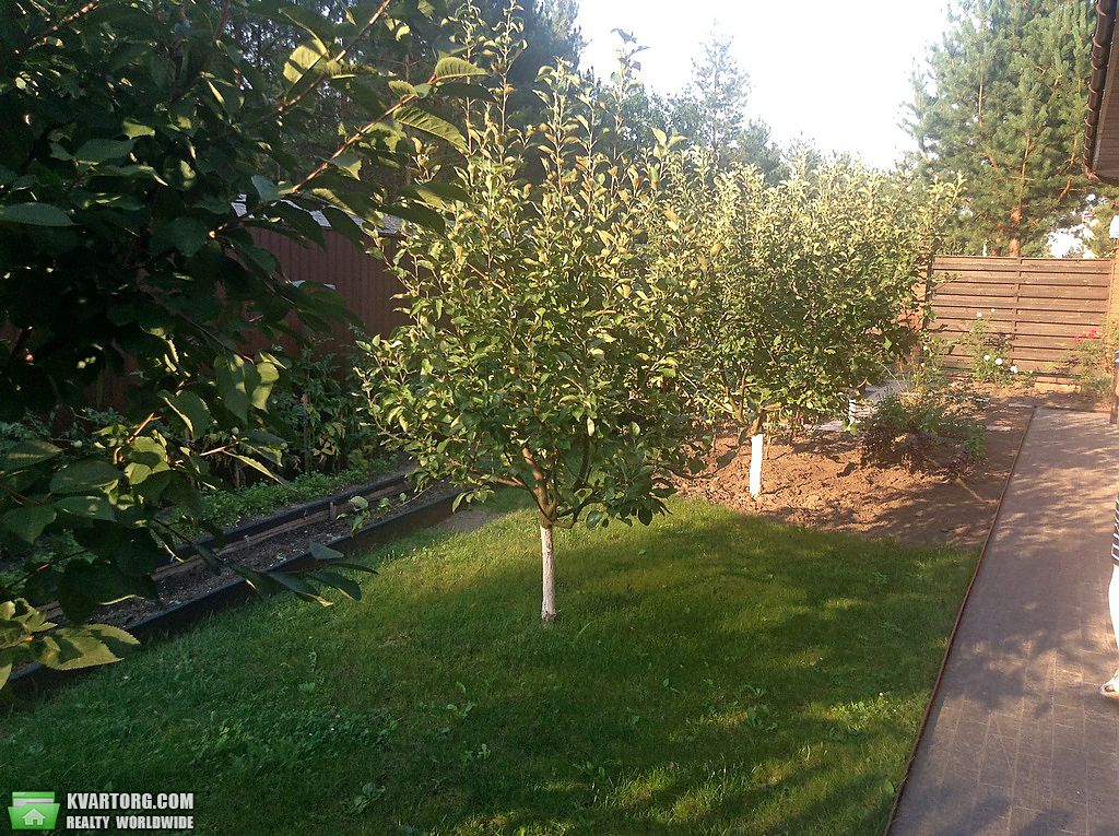 Sell house. Киев, Шервудская — photo 8