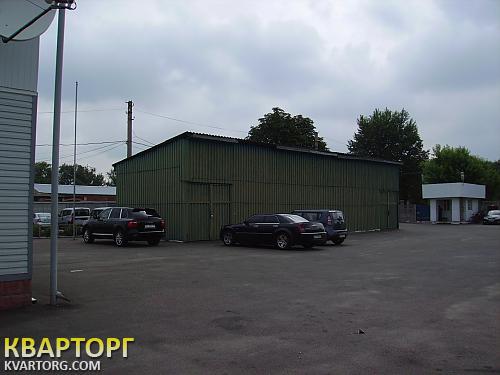 Rent out warehouse. Киевская обл.,  Васильковская — photo 1