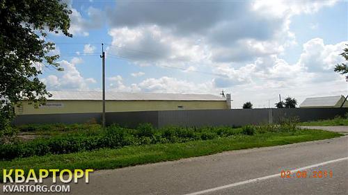 Rent out warehouse. Киевская обл., с.Чернихов — photo 4
