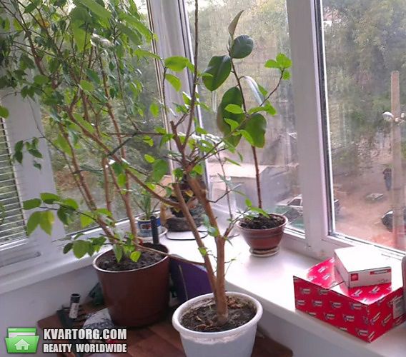 Sell 3-room apartment. Киев,  Ветрянные Горы — photo 7