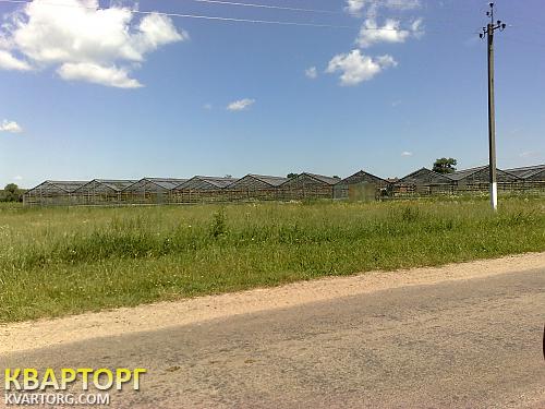 Sell house. Киев, Макаров — photo 3