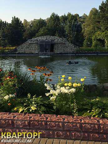 Sell house. Киевская обл., Верхня дубечня — photo 9