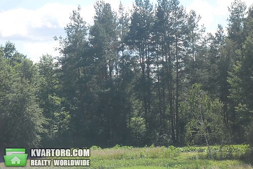 Sell house. Киевская обл., Жовтнева — photo 2