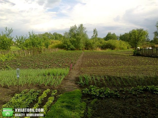 Sell house. Чернигов, Озерное — photo 5