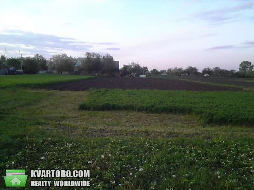 Sell house. Васильков, Саливонки — photo 7