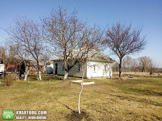 Sell house. Чернигов, с. закревское — photo 3