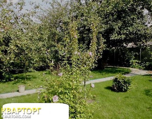 Sell house. Васильков, Глеваха1 — photo 4