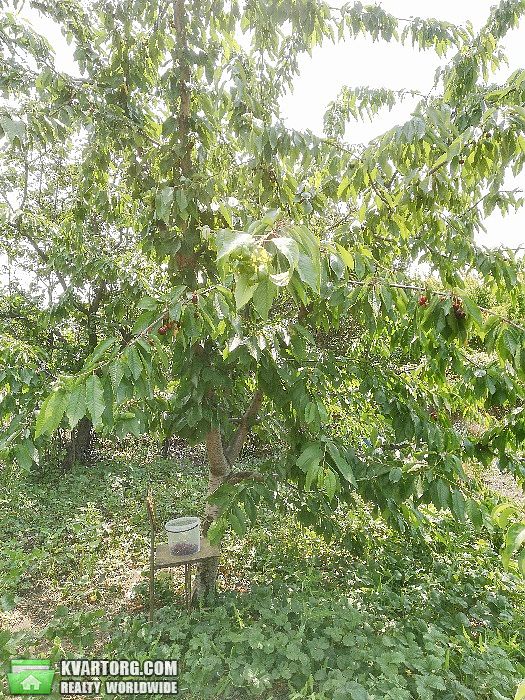 Sell house. Одесса, 715 Авиаполка — photo 4
