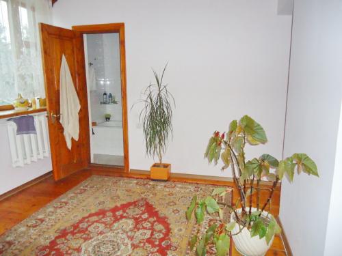 Sell house. Одесса, Аркадия — photo 2