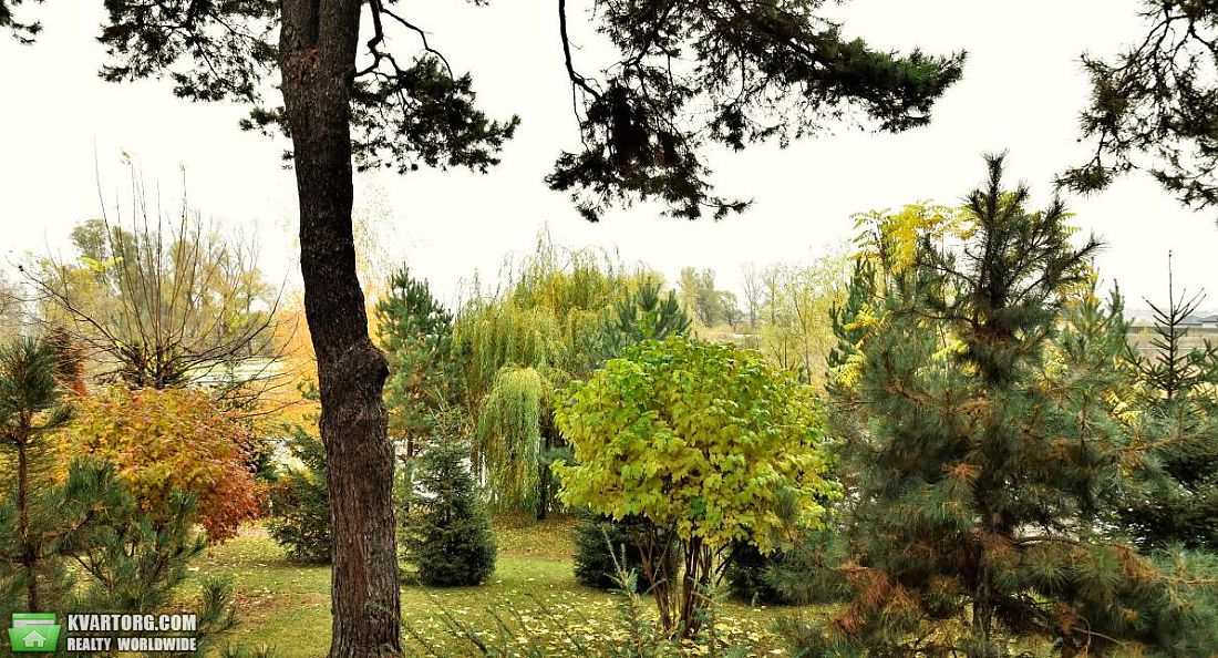 Rent out house. Киевская обл., Хотяновка — photo 4