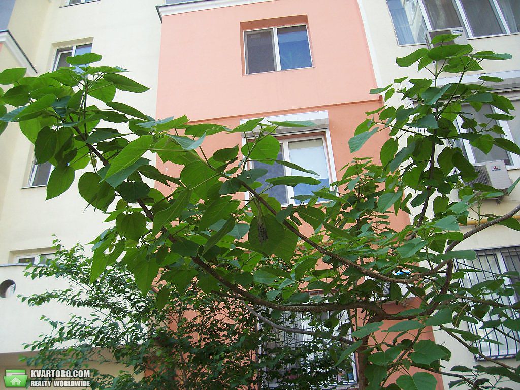 Sell office. Одесса, Дидрихсона — photo 5