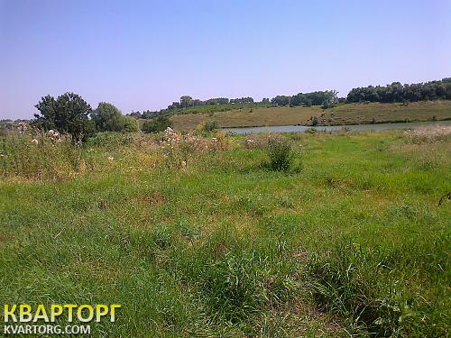Sell house. Киевская обл., Лосятин — photo 8